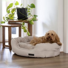 Luxe Boucle Shell Pet Bed